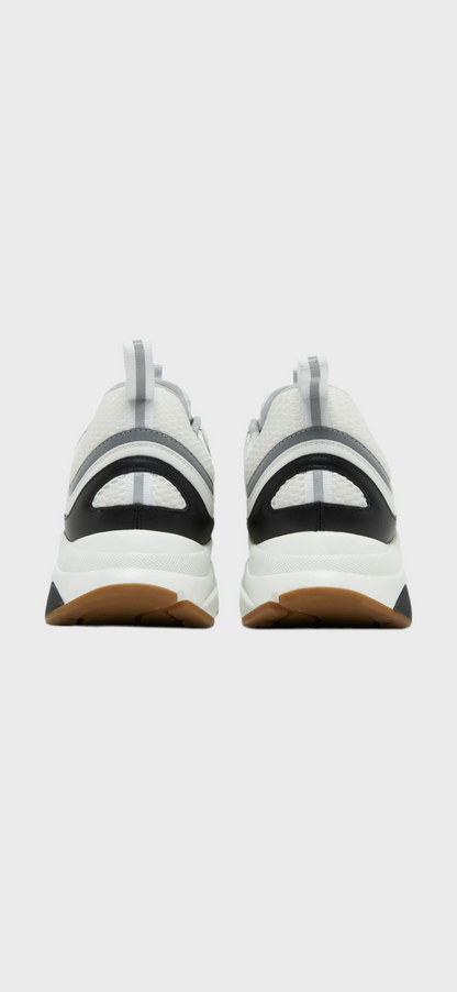 Dior B22